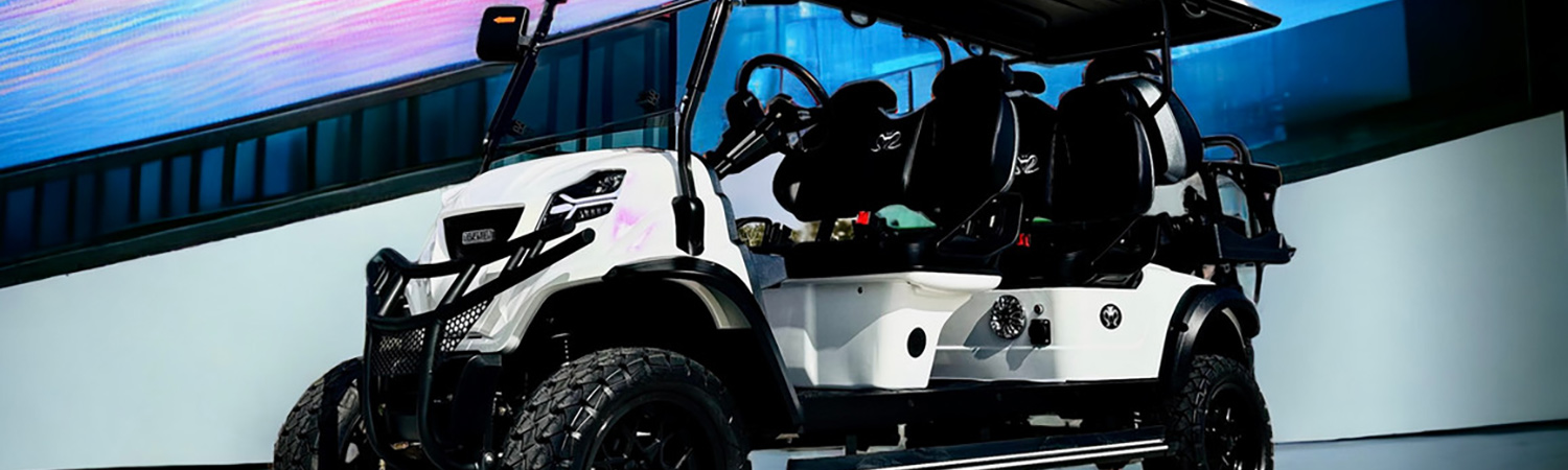 Venom EV D Model 6 Passenger for sale in RFX Carts, Fort Worth